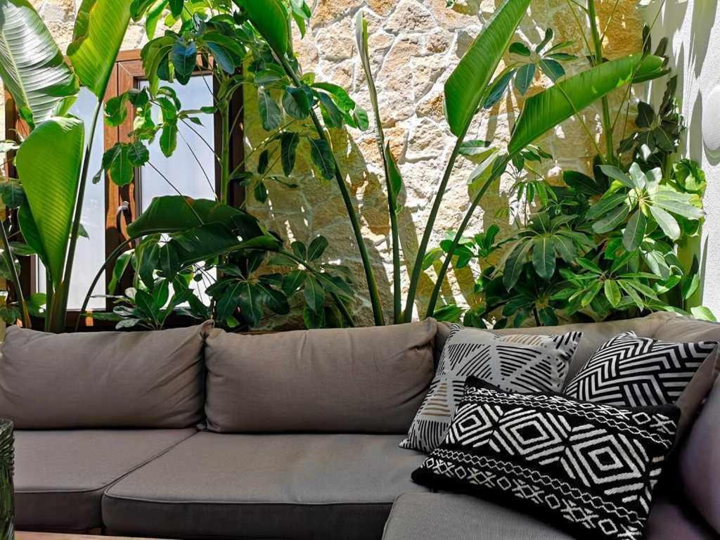 Casa Rural Albireo Rebosante De Luz Y Naturaleza Sanlúcar de Guadiana 外观 照片